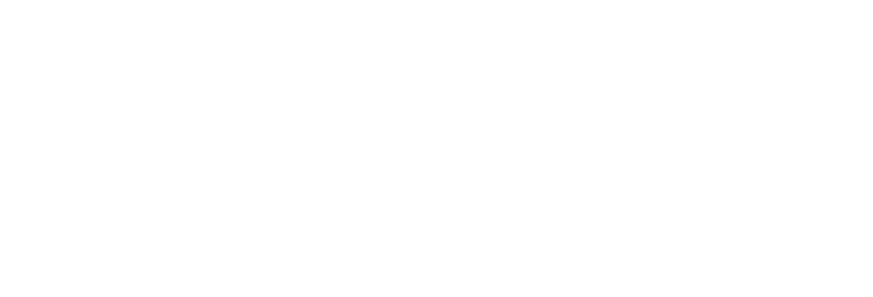 Optimal Business Solutions logo in white